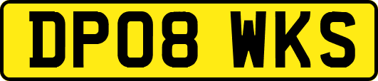 DP08WKS