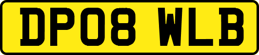 DP08WLB