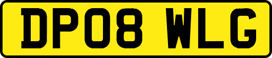 DP08WLG