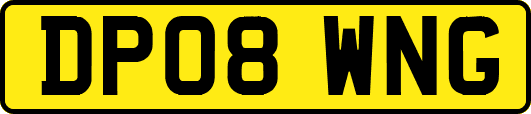 DP08WNG