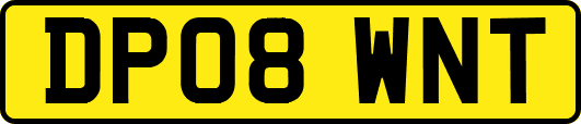 DP08WNT