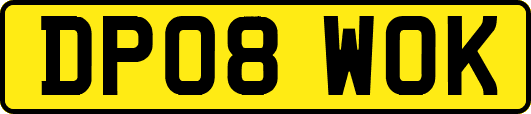 DP08WOK