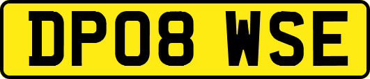 DP08WSE
