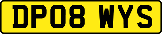 DP08WYS