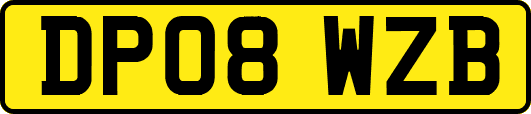 DP08WZB