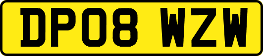 DP08WZW