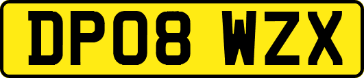DP08WZX
