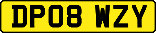 DP08WZY