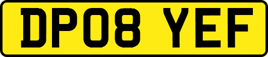 DP08YEF