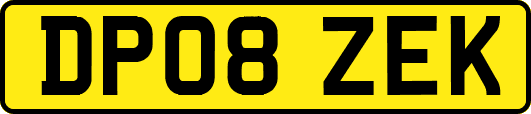 DP08ZEK