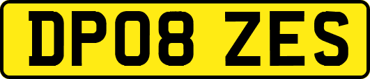 DP08ZES