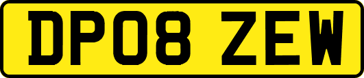 DP08ZEW