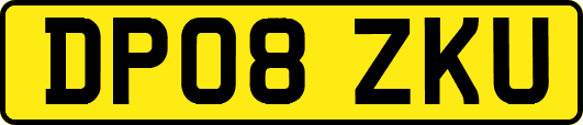 DP08ZKU