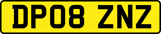 DP08ZNZ