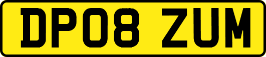 DP08ZUM