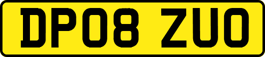 DP08ZUO