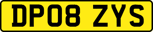DP08ZYS