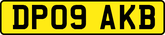 DP09AKB