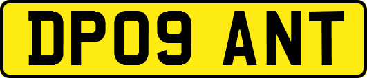 DP09ANT