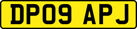 DP09APJ