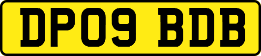 DP09BDB