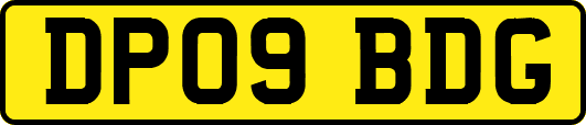 DP09BDG