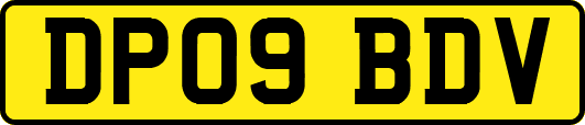 DP09BDV