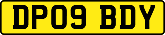 DP09BDY