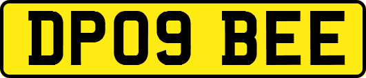 DP09BEE