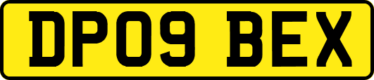 DP09BEX