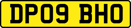 DP09BHO
