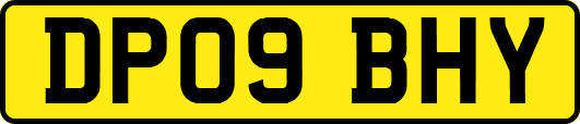 DP09BHY