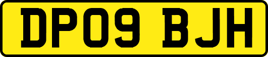 DP09BJH