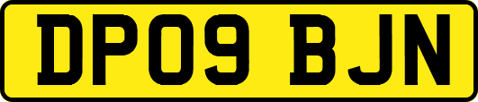 DP09BJN