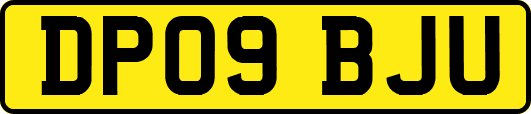 DP09BJU