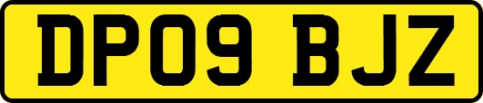 DP09BJZ