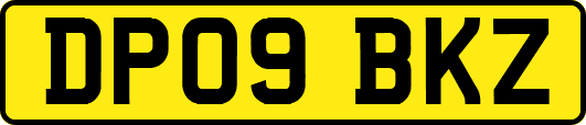 DP09BKZ