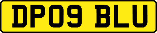 DP09BLU