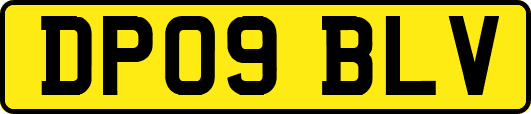 DP09BLV