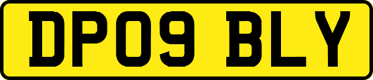 DP09BLY
