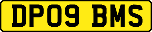 DP09BMS