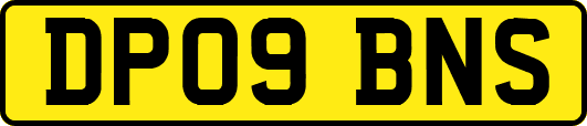 DP09BNS