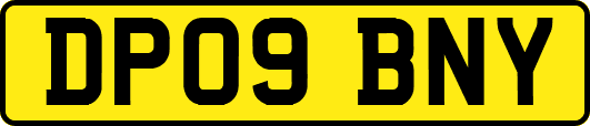 DP09BNY