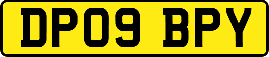 DP09BPY