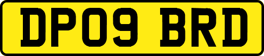 DP09BRD