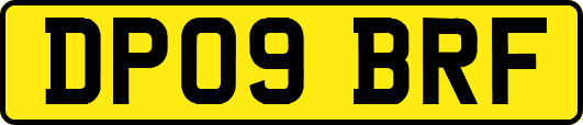 DP09BRF