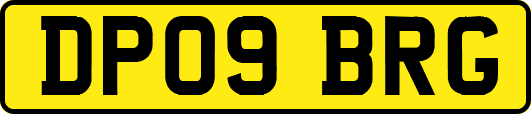 DP09BRG