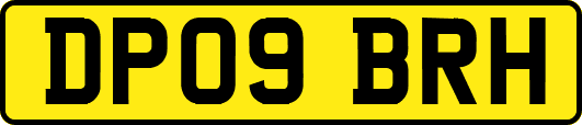 DP09BRH
