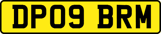 DP09BRM