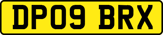 DP09BRX